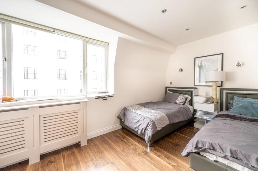 Stanhope Terrace Apartman London Kültér fotó
